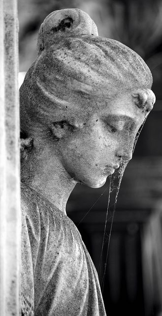 1522842402317f15433d9b4