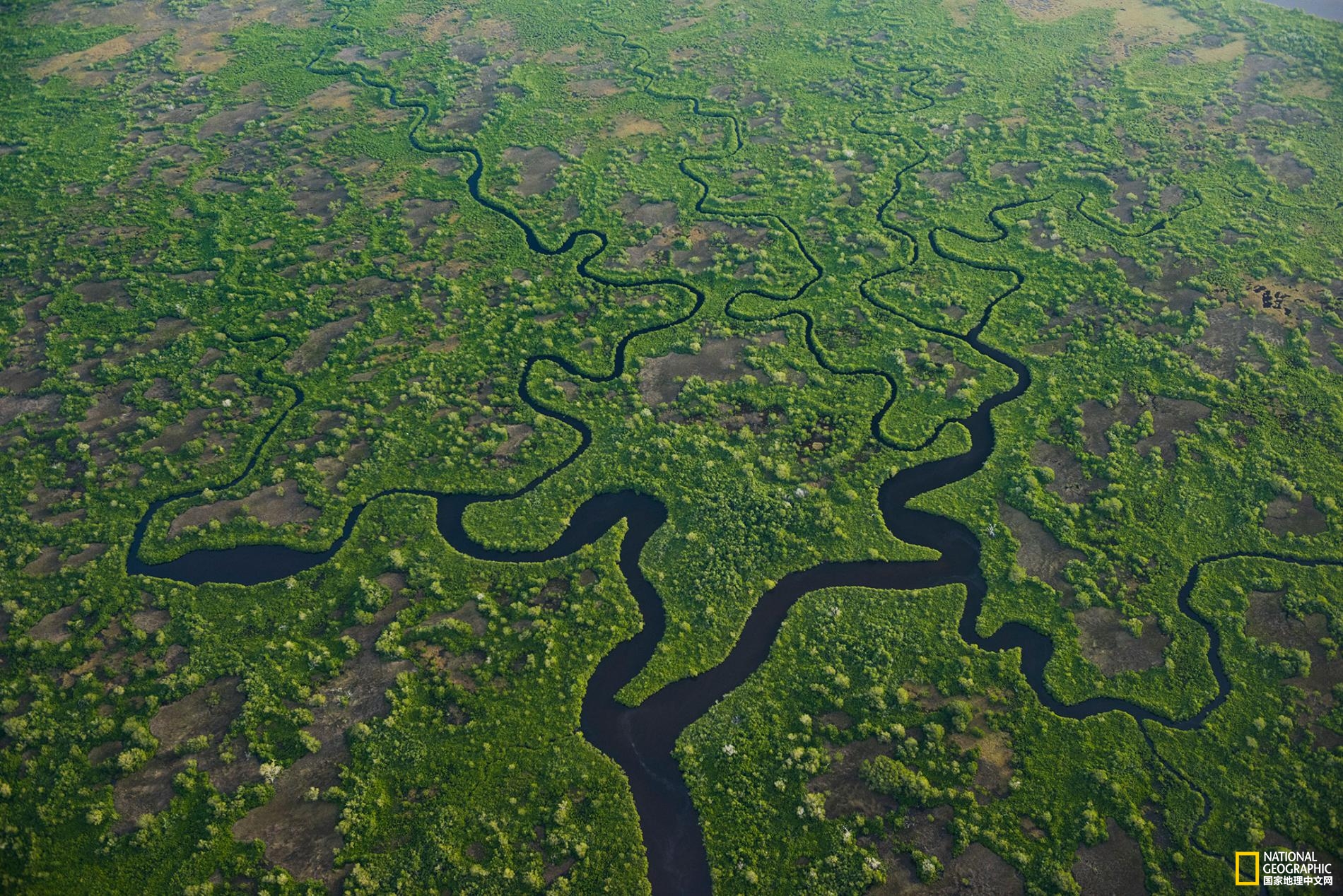 1524564297604256a9ba21b