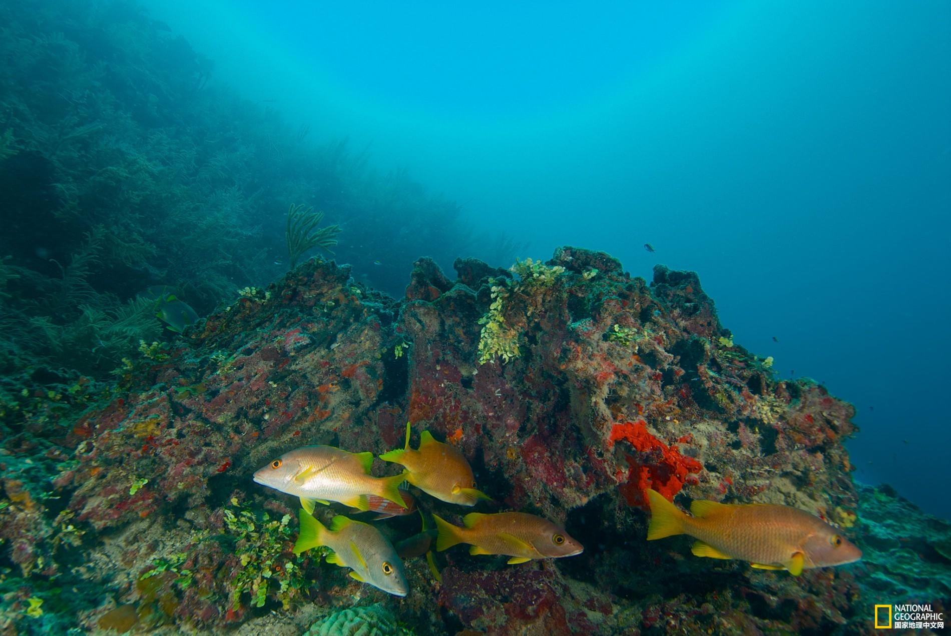 15246291977966f76bb90b0