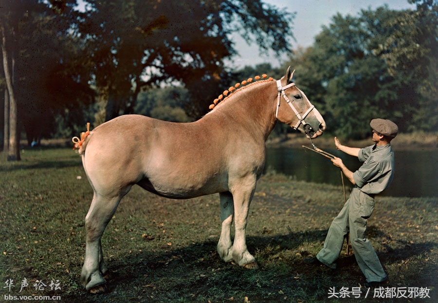 15262686510220a1071a2f4