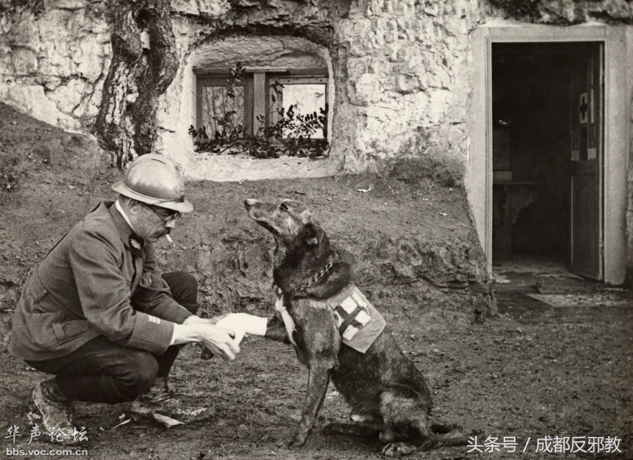 1526268652094972fe1ad8a