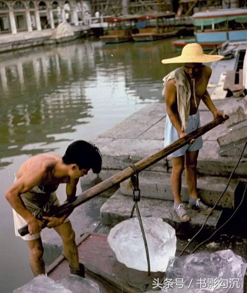 15264714319056a5e51f4a4