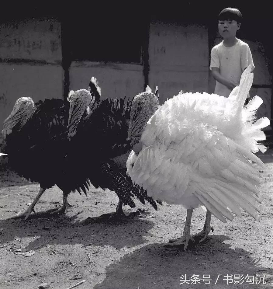 152647143473808b19203b4