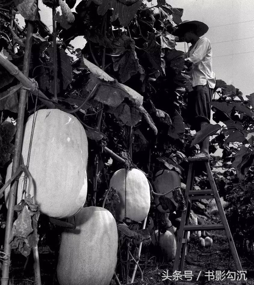 152647150350487ae835da9