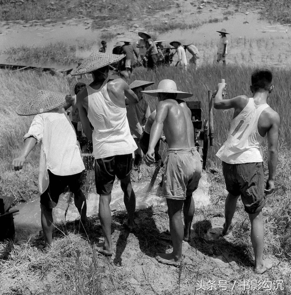 1526471505117b72b355fc7