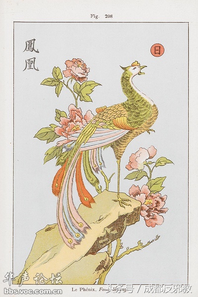 1524538265763d58f23e8ab