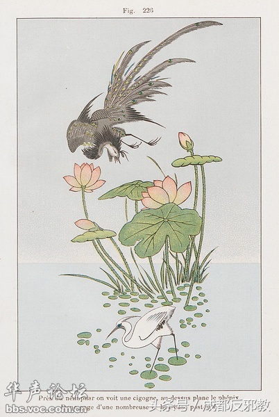 15245382689551cbb00d39b