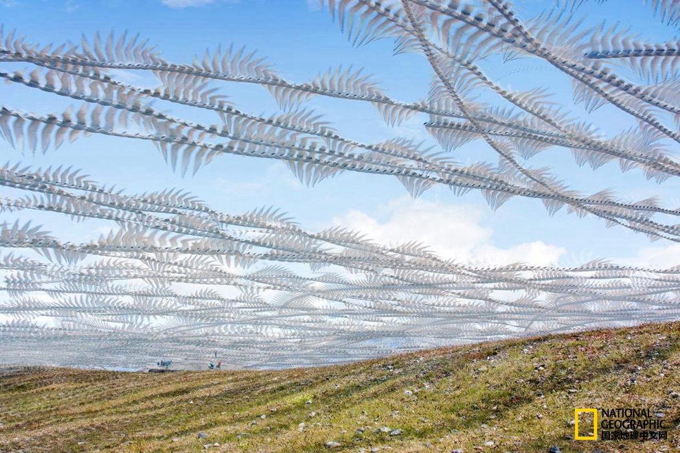 568f00021b11a42e2cec