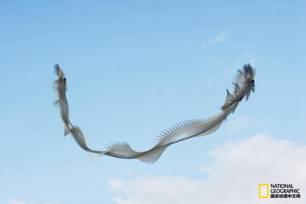 56910001dfe0884a93ca