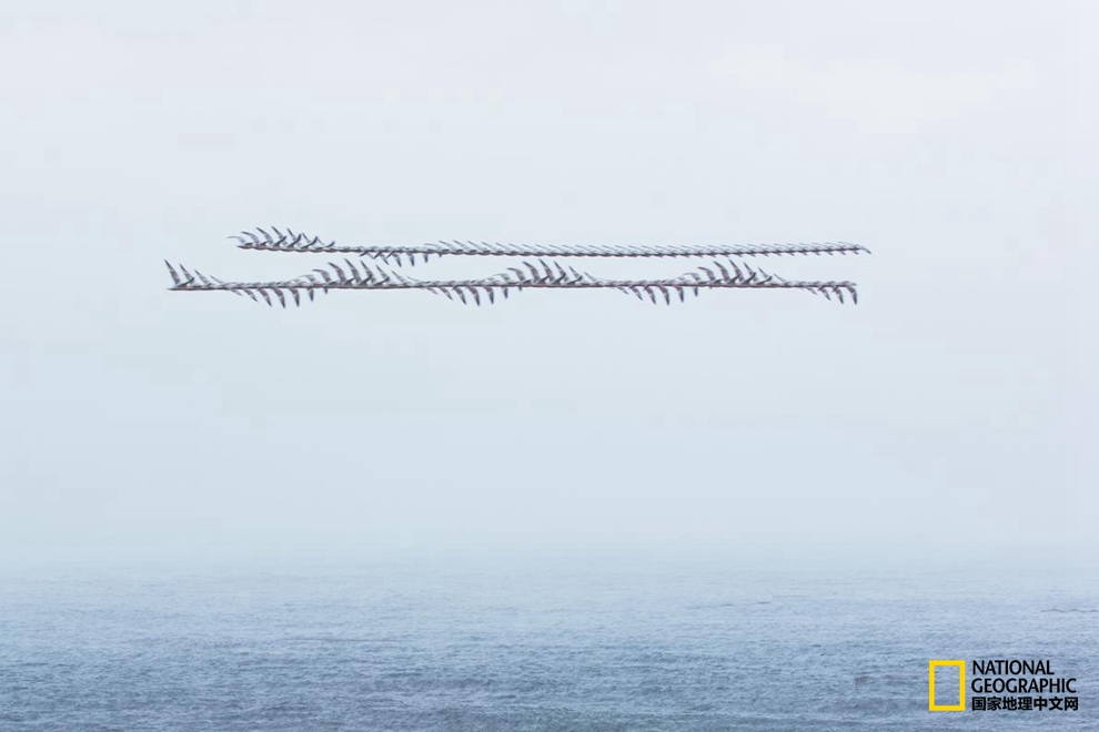 56930001822a4295c90d