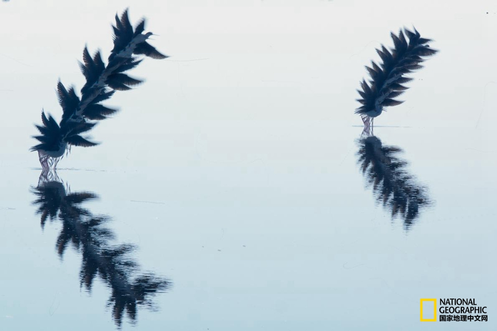 569000020dbe11bc3e73