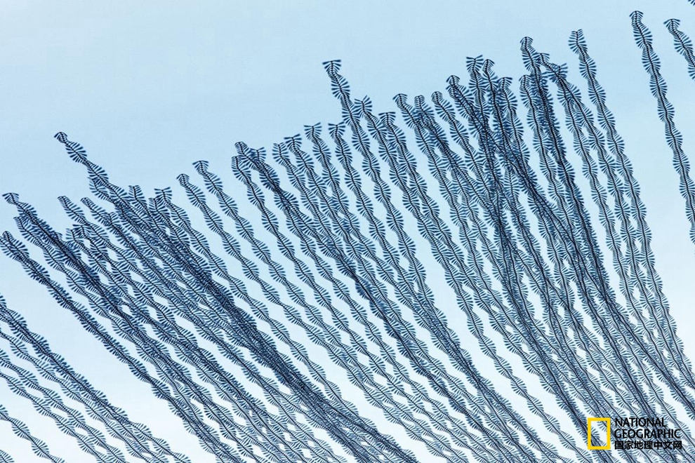 568f00021b1f55f598f2