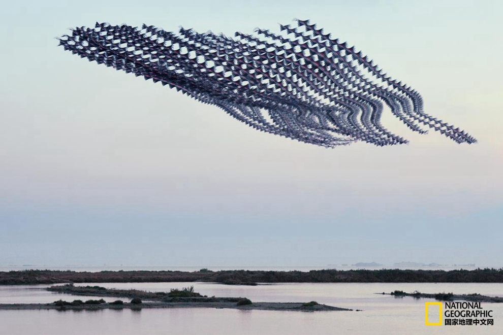 5693000182370b83d838