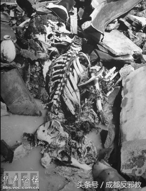 152635123295295b624614b