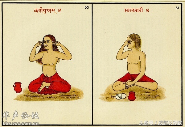 15268690986221fd66ad971