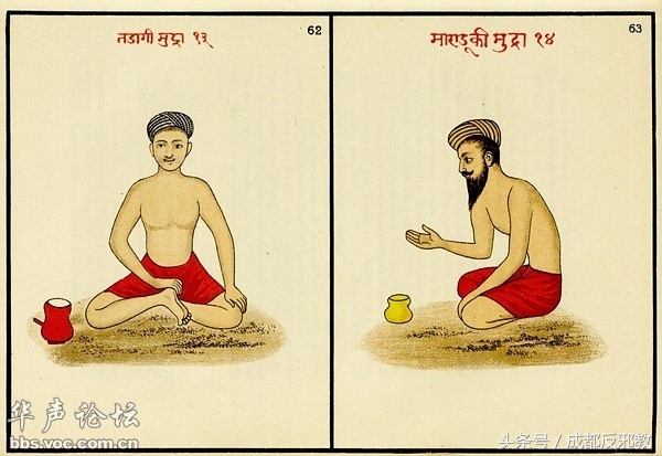 15268691003635ee8d21b46