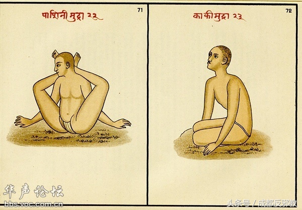 1526869102487115d519cb0