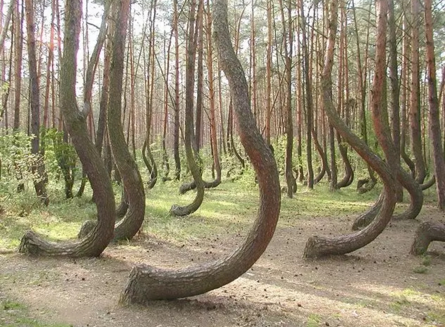 15264890331119b13963df7