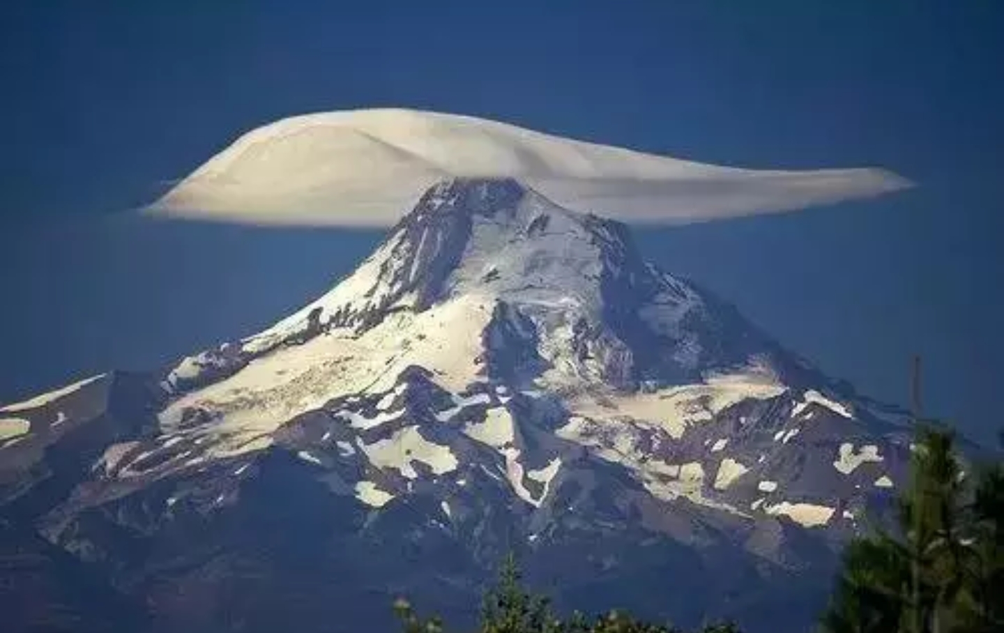 1526489121107a9a66ecef2