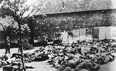 1527148927631d7560a728a