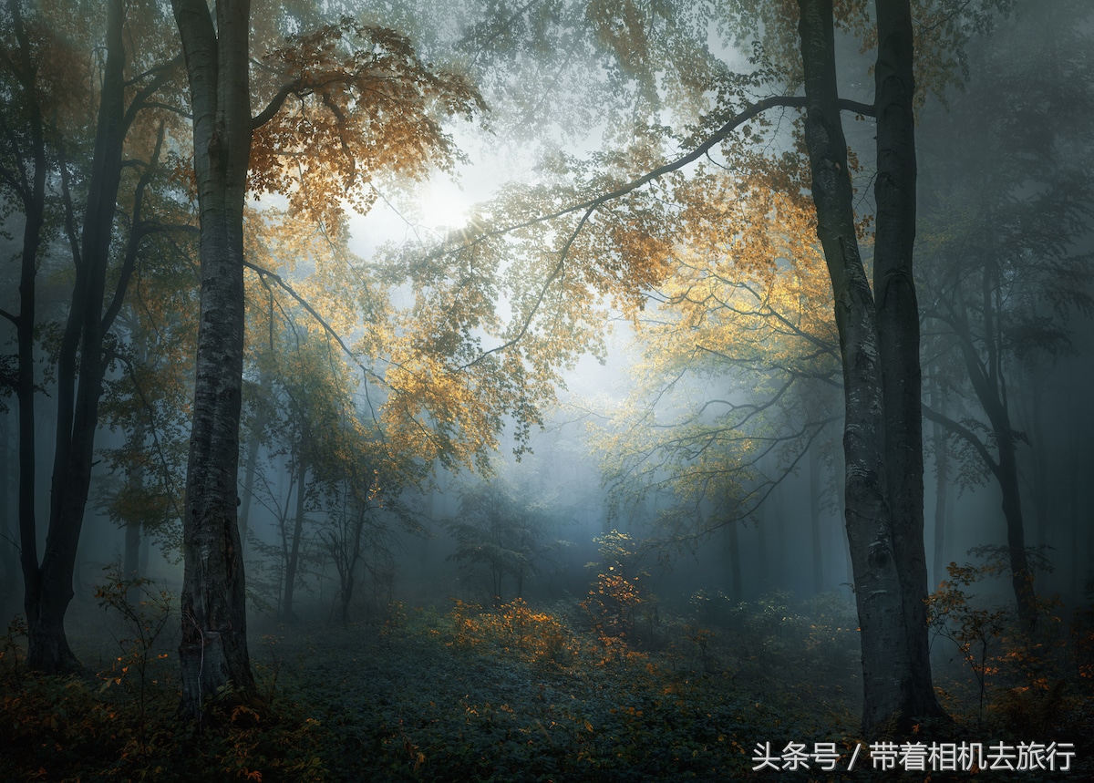 15247929313992a6bdca63f