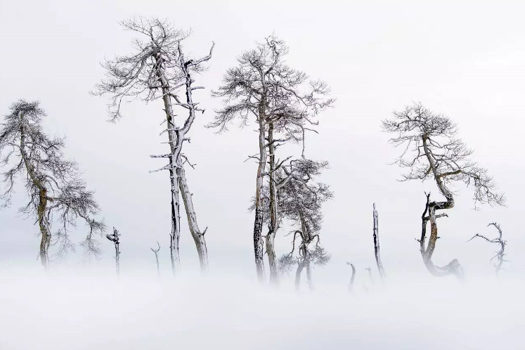 152713124142942f0de9794