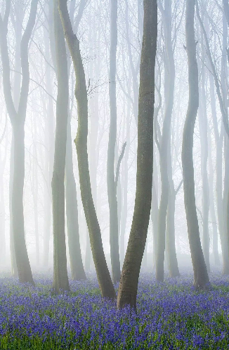 1527131242068245636d79f