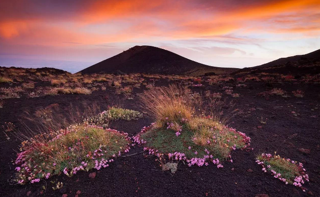 152713124470815295527eb