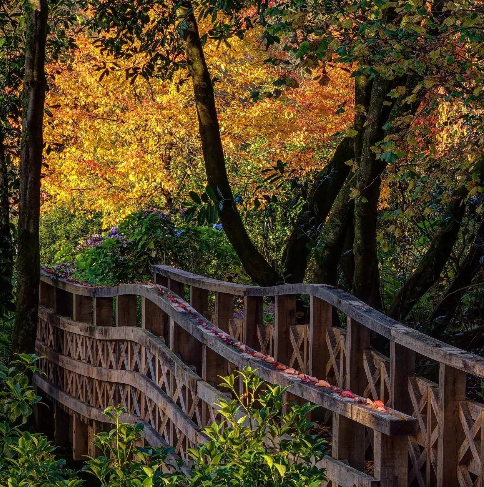 15271312464153a2c49fda4