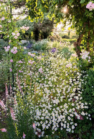 1527131247002c0cc10ab74