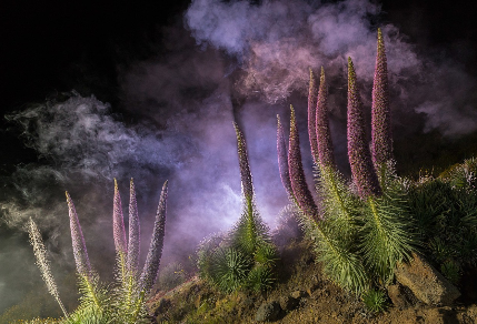 152713124793965826ab88c