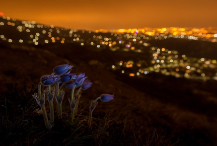 15271312496077ca7b9417d