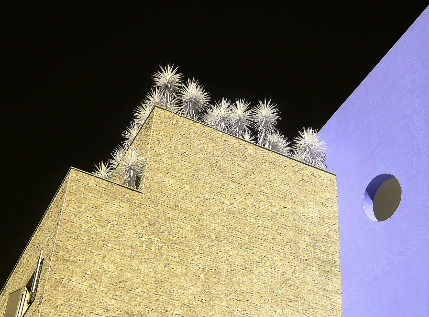 1527131250061c722ef269f