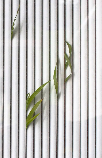 1527131250932580bd3bbc7