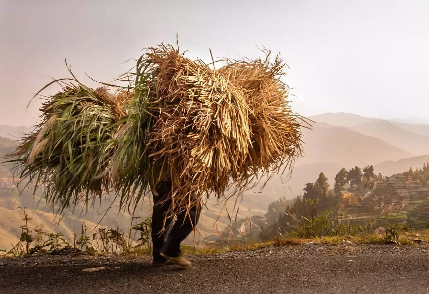 152713125129195d1c6768a