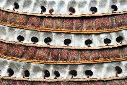 15271312530990627baf2d4