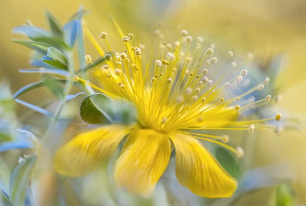 1527131253267951a6e05c6