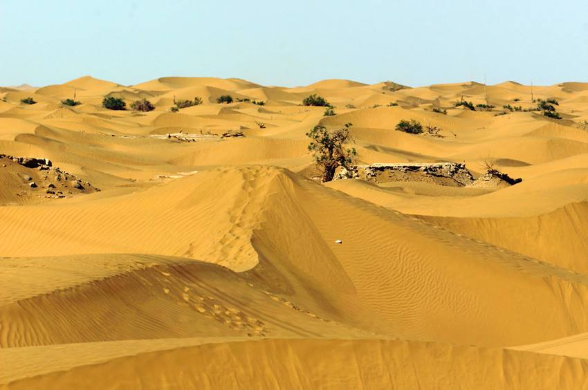 15244512809821c42acacd7