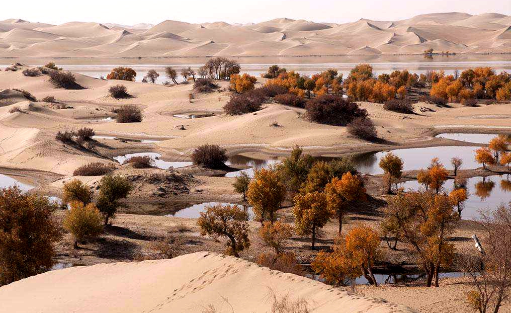 15244512814485a16cf37ce