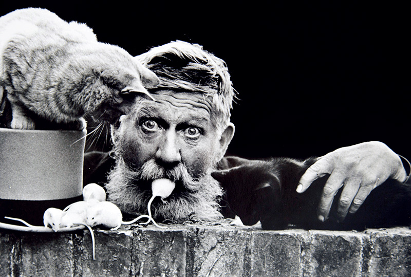 153010455651056f1c74bde