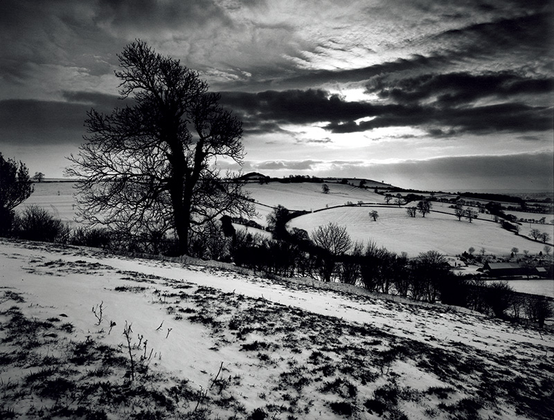 15301045567023afb43cf22