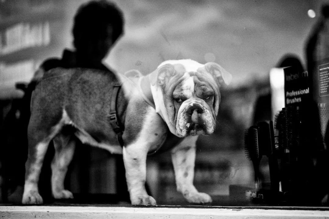 1530011564606b8eb8a9b40