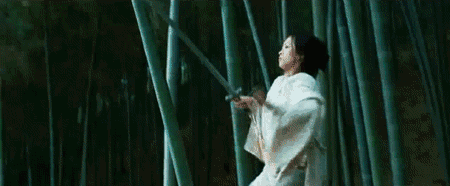 15294438047718e449aa8a2