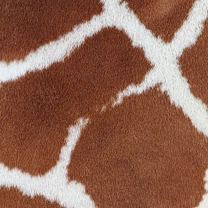 1530026855788794e186fb8