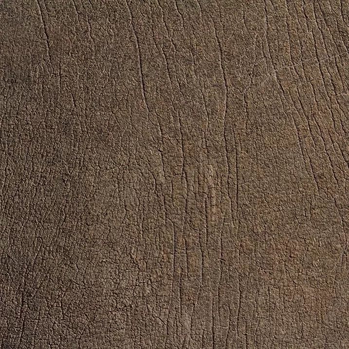 15300268562391fcc969d7f