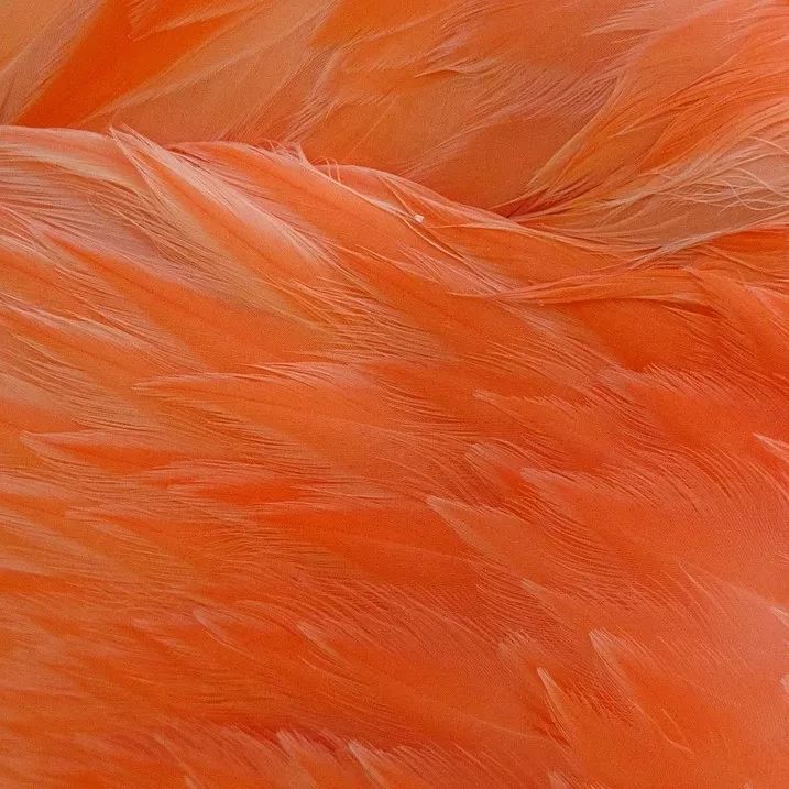 1530026856936b06c7e7a21