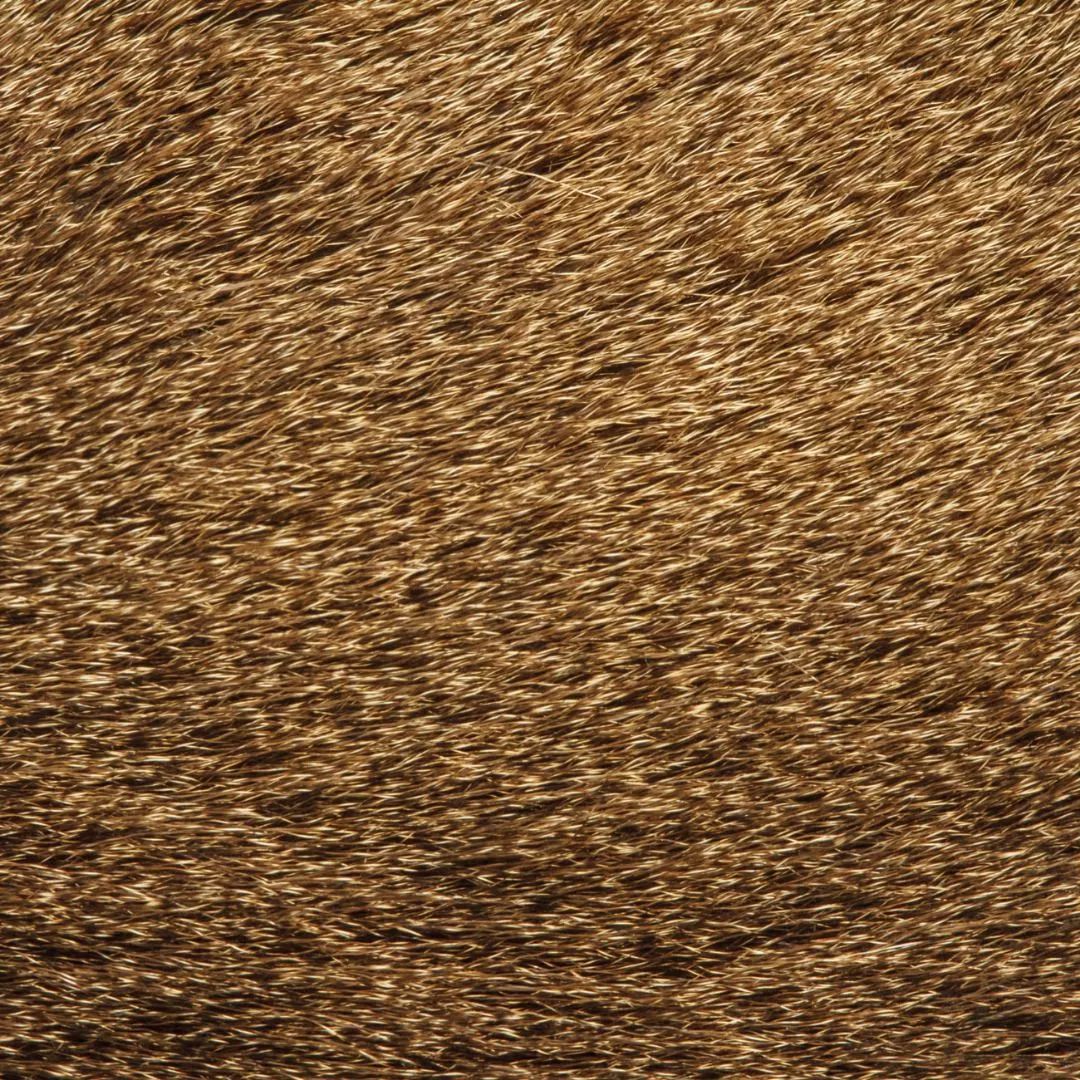 1530026859553b7154547e6