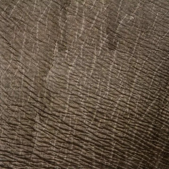 15300268585259fd95138b7