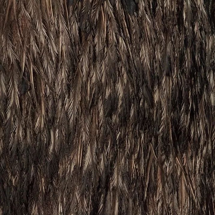 1530026863781c4f3e072b0