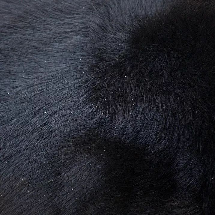 15300268663770b165529fa